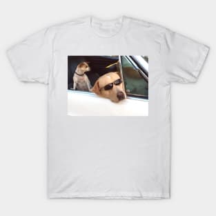 California Cruising T-Shirt